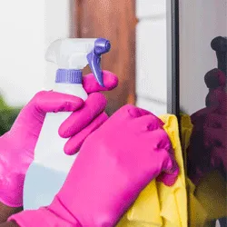 Ethylene Carbonate at cleaning industries